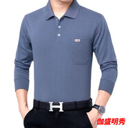 創(chuàng)衿春秋男士長(zhǎng)袖t恤男夏季中老年人衣服翻領(lǐng)打底衫薄爸爸裝棉 藍(lán)灰色 藍(lán)灰色純色/款 L90-110斤 均碼