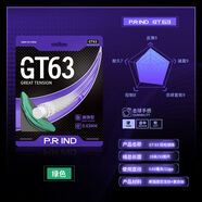 浦銳GT63/GS67羽毛球拍線高彈性耐打羽線控球進(jìn)攻清脆聲響訓(xùn)練線 GT63【高彈線】綠色