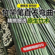 菜園搭架新竹竿蔬菜黃瓜豆角竹籬笆柵欄小竹子婚慶竹竿爬藤架旗桿 高山耐用竹子100根 2厘米粗2米長
