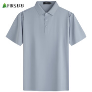 杉杉（FIRS）涼感高彈短袖T恤男2025夏季新款舒適商務(wù)感無痕POLO通勤衫701 霧灰藍(lán) 2XL (185)
