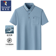 啄木鳥（TUCANO）中年男士爸爸夏裝翻領(lǐng)短袖t恤男中老年男裝夏季絲光棉polo領(lǐng)上衣 SM1902魚水蘭【真口袋】 2XL /180【建議150-165斤】