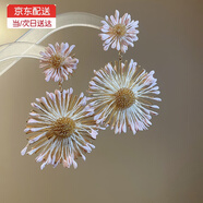 巴克樂(lè)樂(lè)鋼針手工編織花朵耳環(huán)海邊度假風(fēng)氣質(zhì)耳釘耳墜時(shí)尚耳飾小眾高級(jí)感 銀針-金色-淺粉色