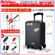 特美聲（TEMEISHENG）戶外廣場(chǎng)舞演出帶無(wú)線話筒大功率移動(dòng)音響藍(lán)牙K歌拉桿音箱 旗艦版帶遙控+無(wú)線話筒+2.4G無(wú)線