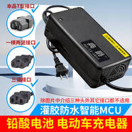 典爵（DIANJUE）智能脈沖電瓶車(chē)充電器電動(dòng)車(chē)充電器電動(dòng)三輪車(chē)充電器72V20AH充滿(mǎn)自停通用T型口