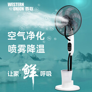 西聯(lián)家用噴霧落地風(fēng)扇霧化加濕電風(fēng)扇加冰水冷制冷霧降溫水霧大風(fēng)力加水電扇負(fù)離子空氣凈化搖頭落地扇 09上加水直流款
