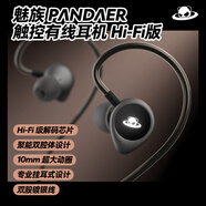 魅族（MEIZU）PANDAER × SONGX HIFI有線耳機(jī) 旗艦級解碼芯片 10mm超大動圈 掛耳式設(shè)計 適用于電腦筆記本手機(jī)