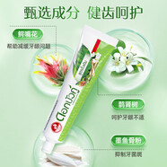 雙蓮（Twin Lotus）原味植物泰國進口成人牙膏護齦 清新口氣家庭裝150g黑色原植研磨 原味150g*1支裝