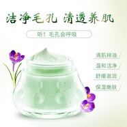 傾億（qingyi）毛孔清潔霜綠豆泥膜補水保濕深層清潔毛孔垃圾污垢按摩膏 清一毛孔清潔霜100克