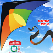 塔萌魚風(fēng)箏大型兒童成人輪盤濰坊線輪風(fēng)箏戶外玩具送300米線輪節(jié)日禮物