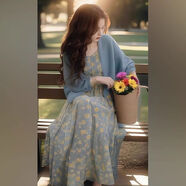 維菲樂(lè )（WEIFEILE）大碼女裝2025年新款胖妹妹高端顯瘦遮肚子上衣連衣裙套裝女兩件套 碎花連衣裙-單裙子 XL  建議120-140斤