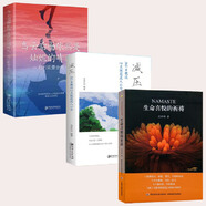 生命喜悅的祈禱+減壓365日枕邊心靈撫慰迷人小句+烏云后面依然是燦爛的晴天 沈妙瑜正版祈禱文一周生命喜悅的祈禱感想文心靈札記輕工業(yè)贈送寫(xiě)給孩子的能量朗讀文自我