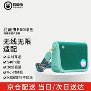 屁顛蟲（Hifier）P60隨身唱挎包無線音響 淺綠色 戶外直播唱歌廣場舞聚會 藍牙u段FM多種連接方式 便攜式音箱 