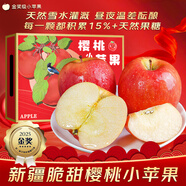 裕瓊新疆阿克蘇櫻桃小蘋(píng)果 新鮮水果【順豐/JD】孕婦水果禮盒裝 4.5-5斤果王約8-10個(gè)【普快】 精品包裝