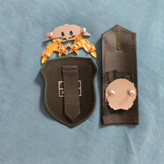 橄欖枝胸標(biāo)刺繡臂章魔術(shù)貼五件套肩章刺繡各種士氣章 春服(硬肩胸領(lǐng)花臂付一) 其他(備注 咨詢客服)