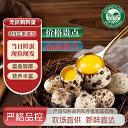 水笙韻生鮮鵪鶉蛋無抗生素雜糧喂養(yǎng)孕婦寶寶輔食營養(yǎng)放心吃源頭直發(fā)批發(fā) 45枚【現(xiàn)撿現(xiàn)發(fā)】