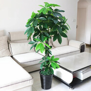 寧雪兒仿真發(fā)財樹盆栽室內(nèi)仿真花假花客廳落地裝飾綠植假樹樹塑料樹植物 1.5m 長辮子發(fā)財樹 含盆 含配草
