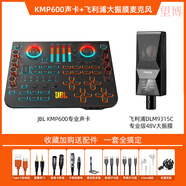 JBL直播專(zhuān)用聲卡設備全套手機電腦麥克風(fēng)網(wǎng)紅主播K歌唱歌話(huà)筒 JBL聲卡+飛利浦DLM9315C黑色【直播K歌套