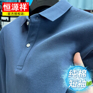 恒源祥100%純棉t恤男士短袖夏季商務(wù)休閑中年爸爸裝polo衫翻領(lǐng)刺繡體恤 【短袖款】霧霾藍(lán) XL 180碼