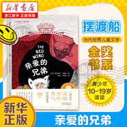 擺渡船當(dāng)代世界兒童文學(xué)金獎書系? 尋狗啟示/安娜的禮物/大故事家/玫瑰小巷的大事件等  任選 親愛的兄弟