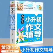 小學(xué)生小升初作文輔導(dǎo) 黃岡作文 三四五六年級3-4-5-6年級8-9-10-11歲適用滿分作文大全