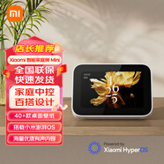 小米（MI）智能家庭屏 Mini 小愛同學(xué)人工智能音箱 桌面家庭中控觸屏音箱 搭載澎湃OS小艾同學(xué)藍(lán)牙音響IOT22B 小米智能家庭屏 Mini