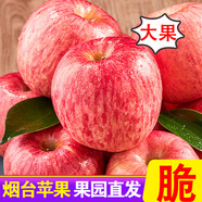 甜醉了 煙臺蘋果棲霞紅富士新鮮水果生鮮山東特產(chǎn)脆甜整箱平果禮盒禮品 凈重4.5斤80-85mm