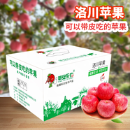 洛川蘋果（luochuanapple）【順豐】正宗陜西延安洛川蘋果陜西蘋果產(chǎn)地直發(fā)脆甜多汁能帶皮吃 24枚75mm中小果顆顆優(yōu)選蘋安喜樂