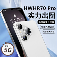 HWHR70 Pro 智能手機 旗艦芯處理器多核+256G超大內存 全網(wǎng)通5G 學(xué)生老人手機 快充長(cháng)續航原裝全新手機 白沙銀（免費試用+五年質(zhì)保） 【原裝全新未拆封】12G+256G