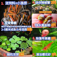 采緹（CAITI）觀(guān)背青鳉觀(guān)賞魚(yú)魔法魚(yú)冷水魚(yú)小型錦鯉金魚(yú)淡水魚(yú)不打氧好養活體 多品種豐富套餐1+飼料1瓶
