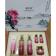 嘉年華（GINAVE）凝萃面部護理套裝補水保濕護膚化妝潔面水乳霜精華 潔面+水+乳+霜+精華