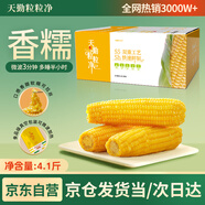 天勤粒粒凈有機黃糯玉米8穗*260g（4.1斤）玉米棒低脂玉米真空包裝早餐代餐