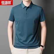 恒源祥（HYX）短袖t恤男夏季新款冰絲polo衫中老年純色翻領(lǐng)寬松免燙體恤上衣男 1219藍色 XL 175建議135-150斤