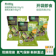 一號(hào)農(nóng)場(chǎng)開(kāi)袋即食田園風(fēng)情沙拉120g*3芝麻汁蔬菜沙拉輕食健身代餐源頭直發(fā)