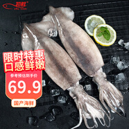 初鮮鮮凍整條大魷魚(yú)2-4條凈重2斤 火鍋燒烤食材轟炸大魷魚(yú)海鮮軟足