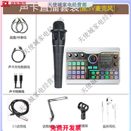 電容麥克風(fēng)直播臺式電腦游戲語音主播K歌喊麥創(chuàng)新5.1聊天話筒 【5V款式話筒】P300聲卡套裝 【需換顏色請聯(lián)系