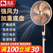 駱駝電風(fēng)扇落地扇搖頭扇家用臺式語(yǔ)音聲控遙控空氣循環(huán)扇智能立式節能省電強力輕音低噪音辦公室大風(fēng)力 18寸銅電機落地扇【5片大鋁葉】綠色