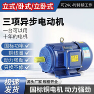 諾遲三相異步電動(dòng)機(jī)電機(jī)380v銅0.75/1.1/1.5/2.2/3/4/5.5/7.5KW千瓦 三相0.75KW-2級(jí)/2800轉(zhuǎn) 銅芯大馬力款