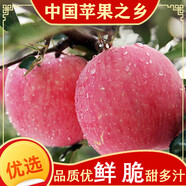 新果正宗陜西白水蘋果新鮮水果有機當(dāng)季紅富士冰糖心大蘋果 9斤 75mm含-80mm(不含)