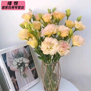 全色系稀有洋桔梗無(wú)刺玫瑰鮮花花束云南直發(fā)插花洋玫瑰花束混搭 香檳色洋桔梗(15-20朵花) 收藏商品送保鮮劑(花壞按比例賠