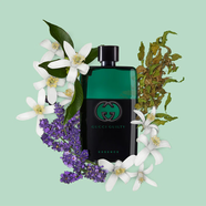GUCCI古馳 罪愛精粹男士淡香 90ml 木質(zhì)薰苔香調(diào) 男士生日禮物香水