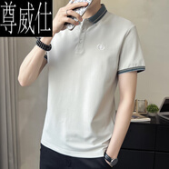尊威仕（ZUNWEISHI）短袖t恤男冰絲夏季薄款翻領polo衫高端休閑珠地棉夏裝潮牌半袖 灰杏色 XL 【120-135斤】