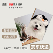 亮麗（SPLENDID）洗照片 照片沖印 洗相片 寵物照片 定制萌寵照片 樂凱相紙7英寸 絨面 20張