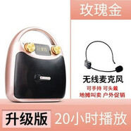 伊菲爾（Eifer）B11新款便攜式藍牙音箱廣場舞音響大音量K歌手提戶外 升級版金+FM無線麥 收音模式用 標配