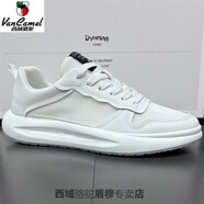 西域駱駝2025夏季網(wǎng)面鞋透氣小白鞋舒適時(shí)尚百搭運(yùn)動(dòng)耐磨休閑鞋潮鞋男 白色 （夏季網(wǎng)面） 關(guān)注店鋪送襪 38 標(biāo)準(zhǔn)皮鞋碼