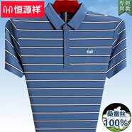 恒源祥2025夏季新款中年男士爸爸裝短袖T恤無痕真口袋翻領(lǐng)POLO衫夏裝 湖藍(lán)HYX-8366 XL 175