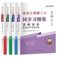 注冊安全工程師2025教材配套習(xí)題集 法律法規(guī)+生產(chǎn)管理+技術(shù)基礎(chǔ)+其他安全 4本套