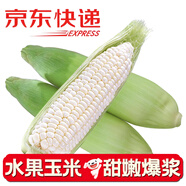 褚蘋果【高甜】水果玉米 爆漿牛奶珍珠玉米 帶葉玉米 輕食生鮮 時令蔬菜 【水果玉米  4斤家庭裝】約5-8根