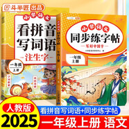 斗半匠 同步練字帖一年級上冊 看拼音寫(xiě)詞語(yǔ) 小學(xué)語(yǔ)文一年級練習冊拼音拼讀生字默寫(xiě)專(zhuān)項每日一練【2冊】