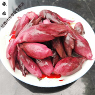 竹溪特產(chǎn)泡酸陽(yáng)荷姜老壇泡菜酸辣洋河姜農家洋荷姜陽(yáng)荷姜腌制十堰 泡酸陽(yáng)荷3斤