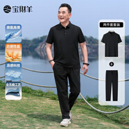 寶財羊父親節禮物爸爸夏季套裝短袖t恤男運動(dòng)POLO衫中老年人上衣服實(shí)用 黑色 L (175)